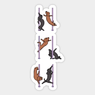 Dachshund Pole Dancing Club Sticker